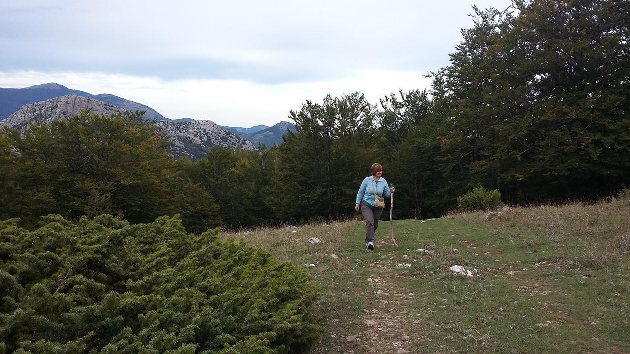 프라스치네토 Montagne Rocciose B&B 외부 사진